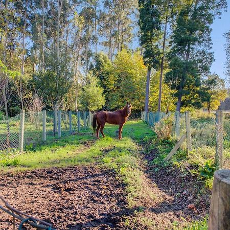 Casa Do Moinho Rural Campo E Praia , 9 Pessoas, Animais Benvindos Espinho  Luaran gambar