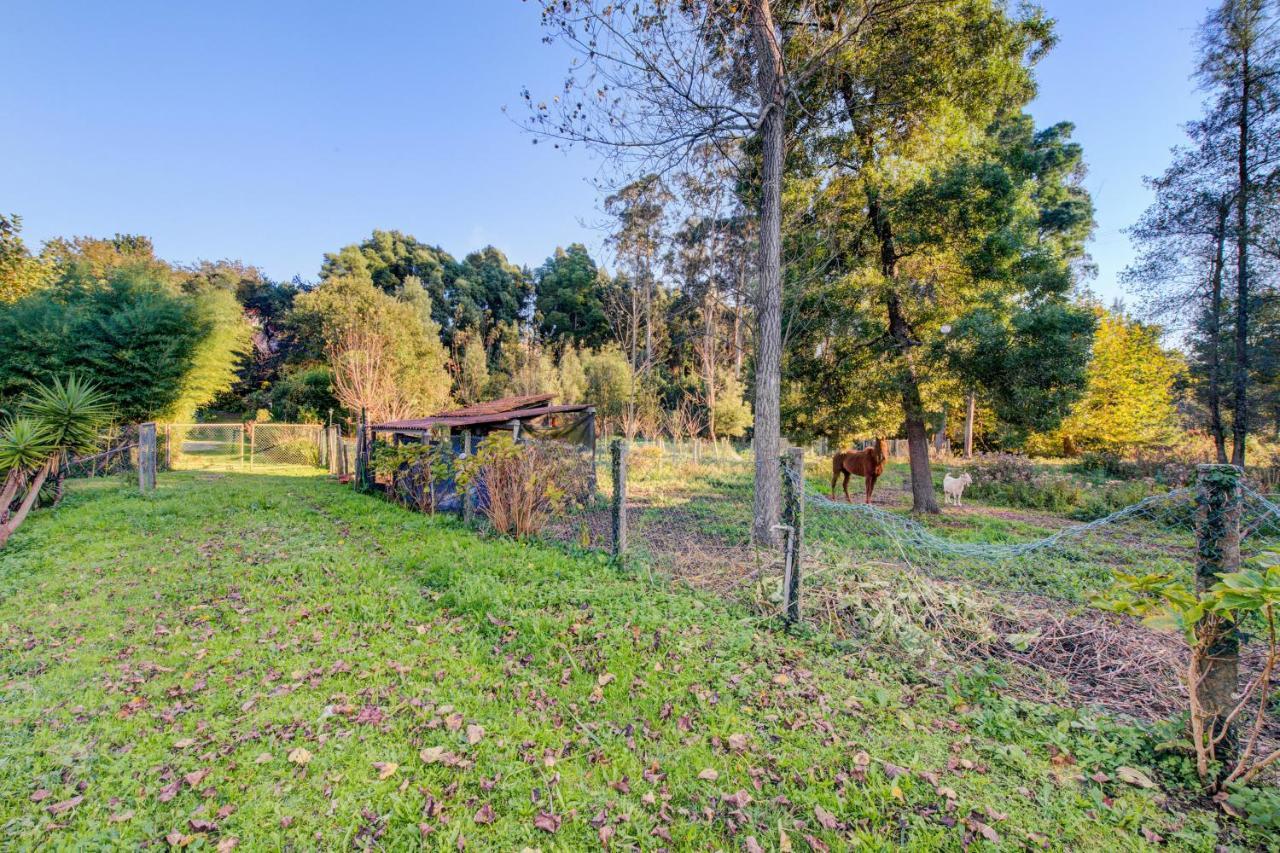 Casa Do Moinho Rural Campo E Praia , 9 Pessoas, Animais Benvindos Espinho  Luaran gambar