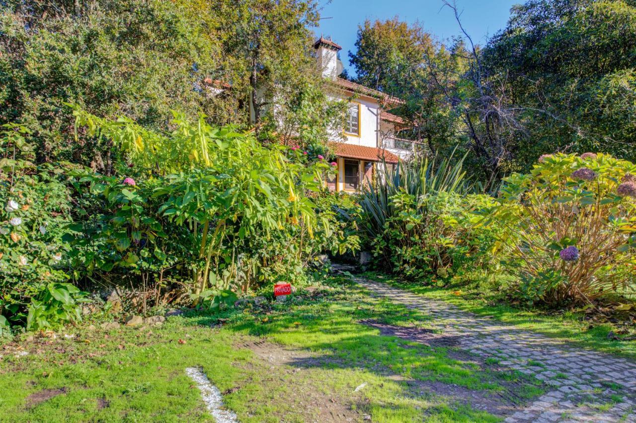 Casa Do Moinho Rural Campo E Praia , 9 Pessoas, Animais Benvindos Espinho  Luaran gambar