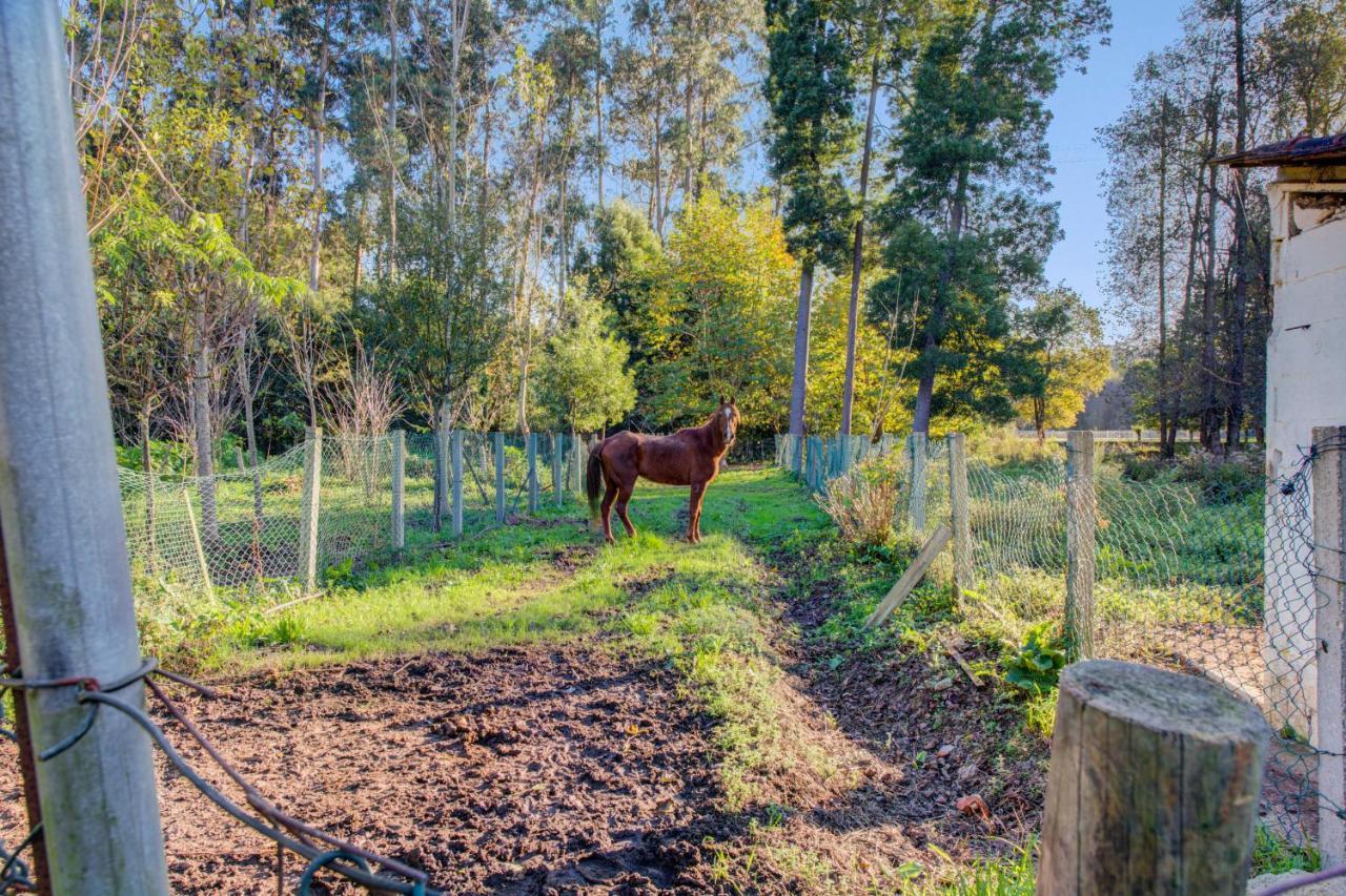 Casa Do Moinho Rural Campo E Praia , 9 Pessoas, Animais Benvindos Espinho  Luaran gambar